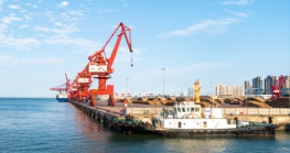 2020年，国内这几十个试点城市已陆续开通了Z6·尊龙进口业务