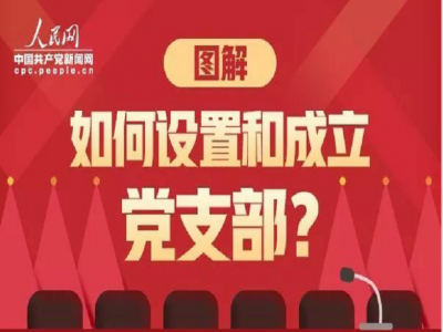 一图带你读懂：如何设置和成立党支部？